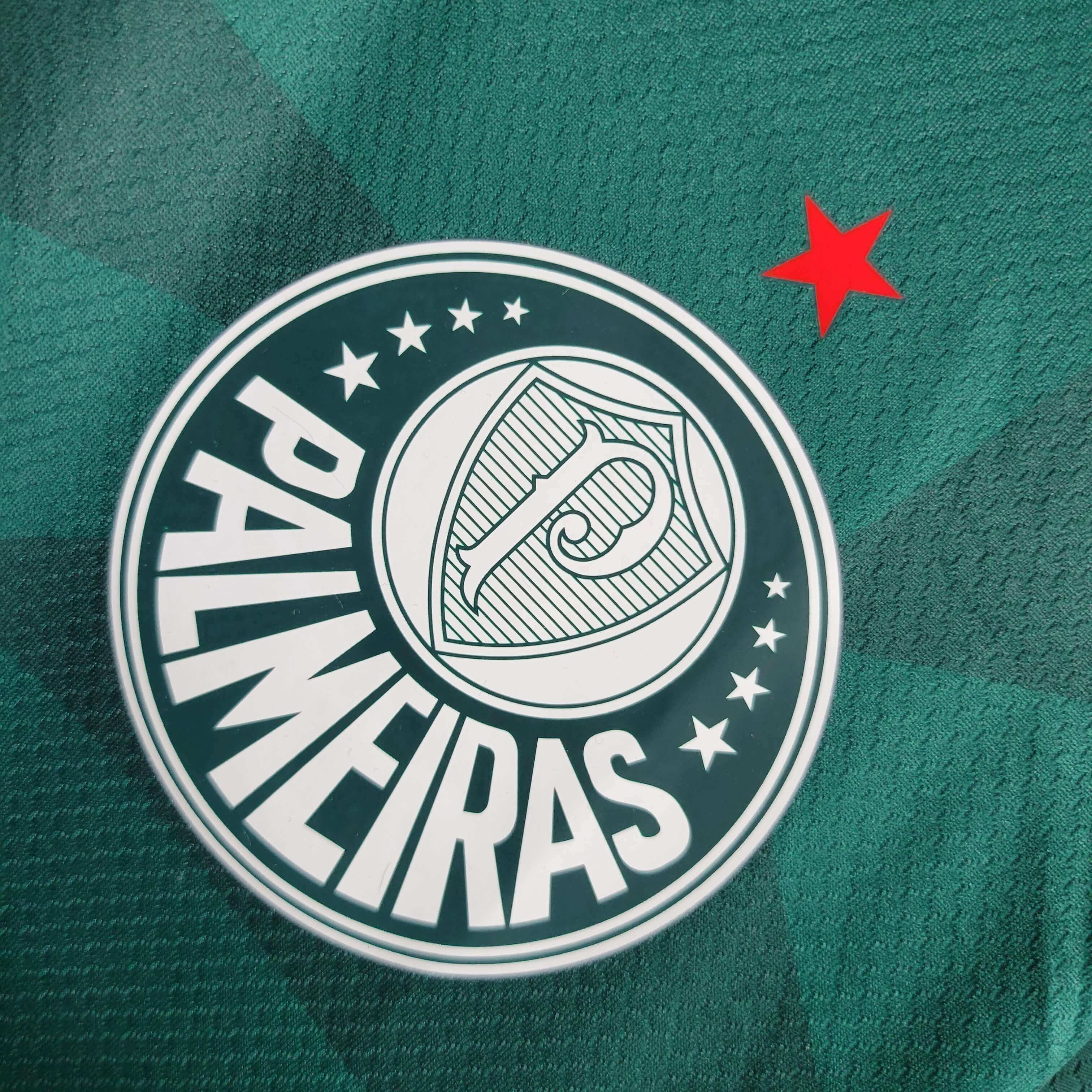 Camisa Palmeiras Home 23/24 - Verde | Torcedor